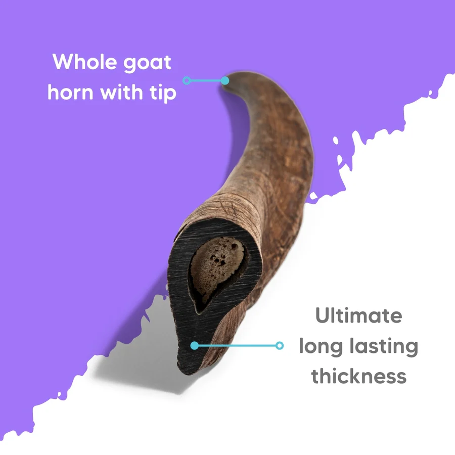 THE PET PROJECT Natural Goat Horn - Image 2