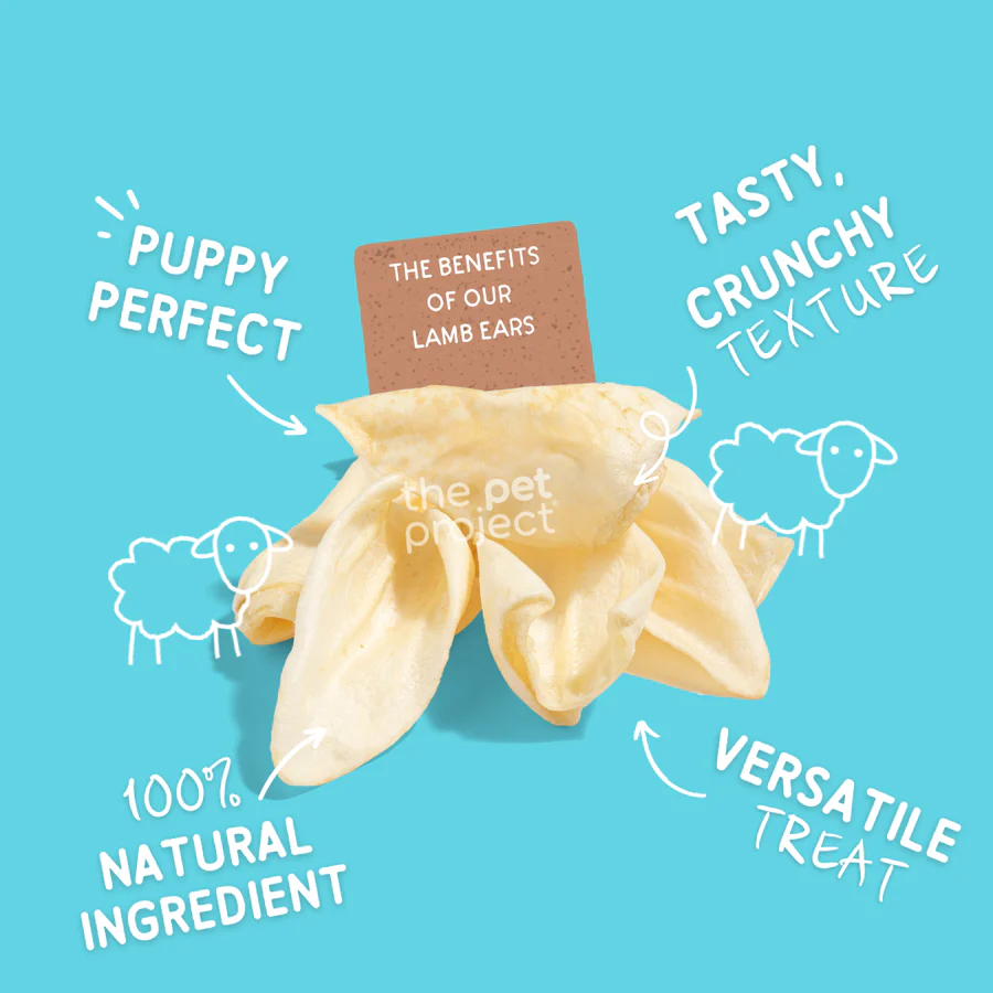 THE PET PROJECT Lamb Ears 4 pack - Image 2