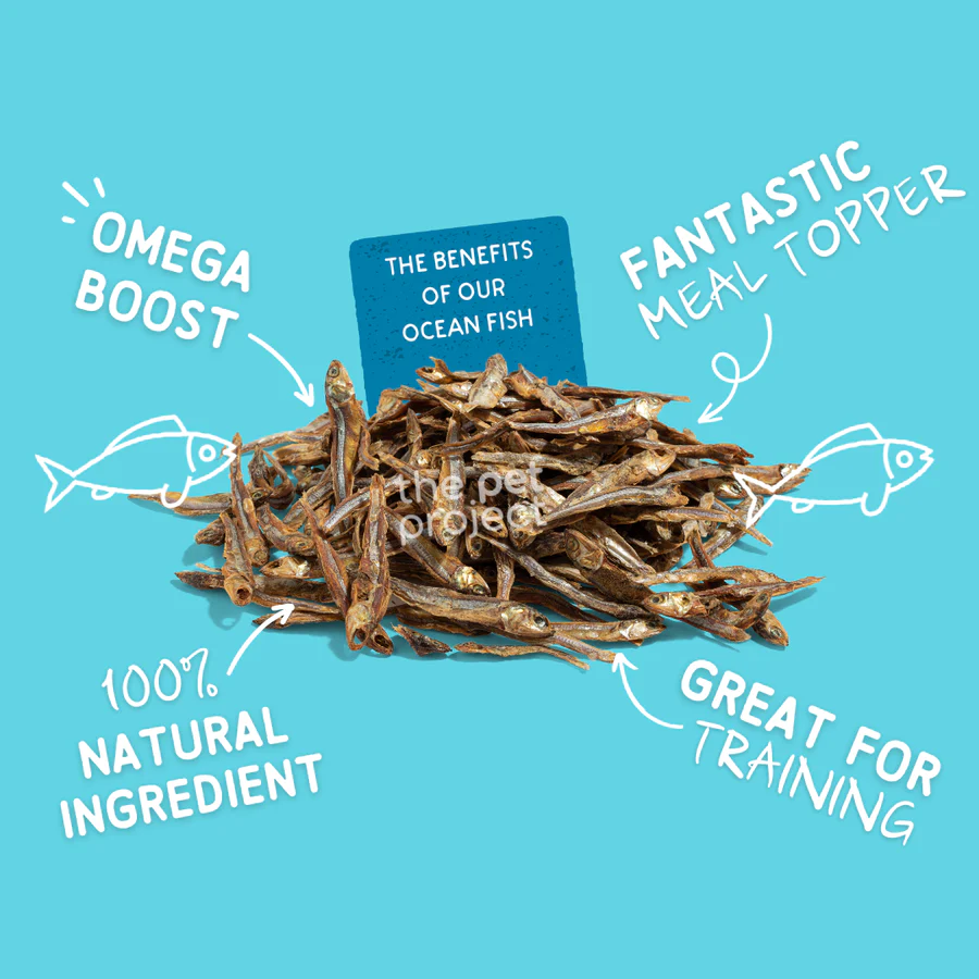 THE PET PROJECT Ocean Fish 80g - Image 2
