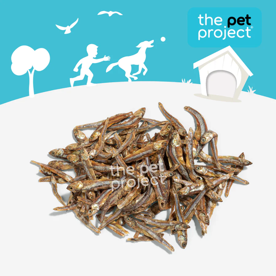 THE PET PROJECT Ocean Fish 80g - Image 3