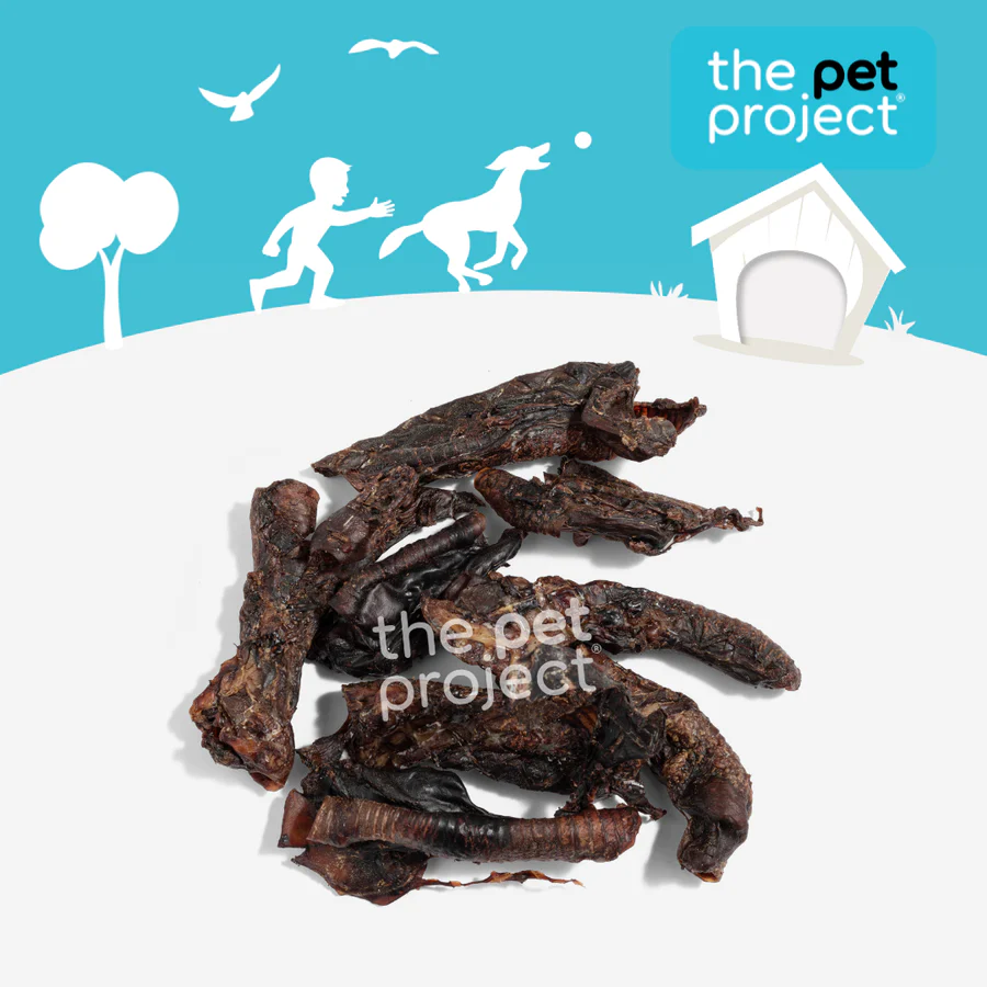 THE PET PROJECT Kangaroo Tube 4 pack - Image 2