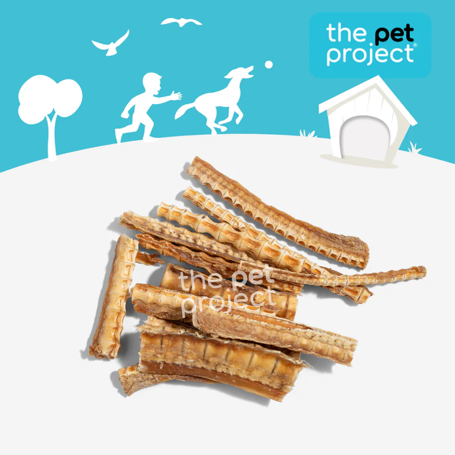 THE PET PROJECT Australian Shark Cartilage 300g - Image 3