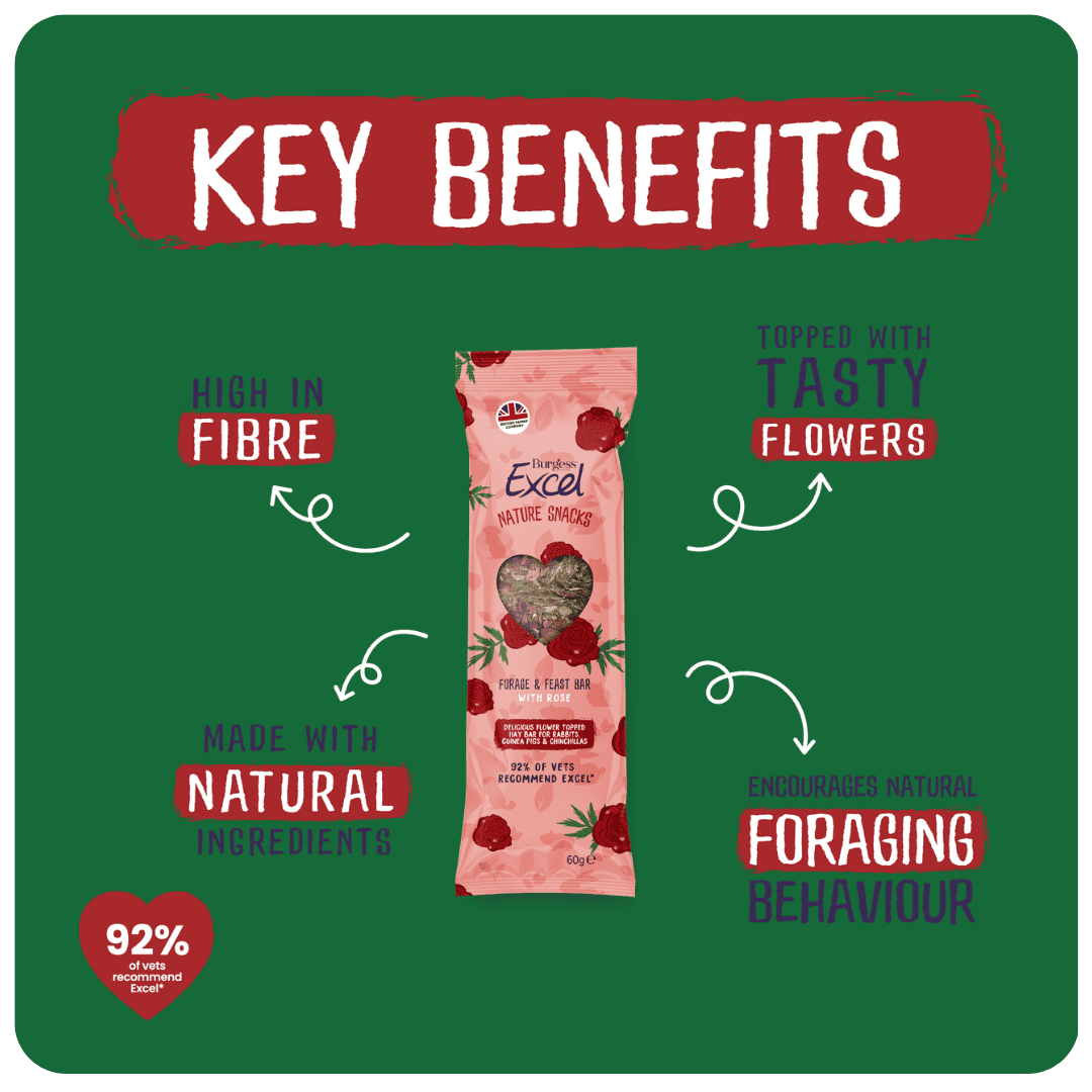 BURGESS Excel Forage & Feast Hay Bar with Rose 60g - Image 2